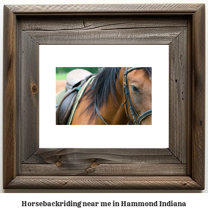 horseback riding near me in Hammond, Indiana